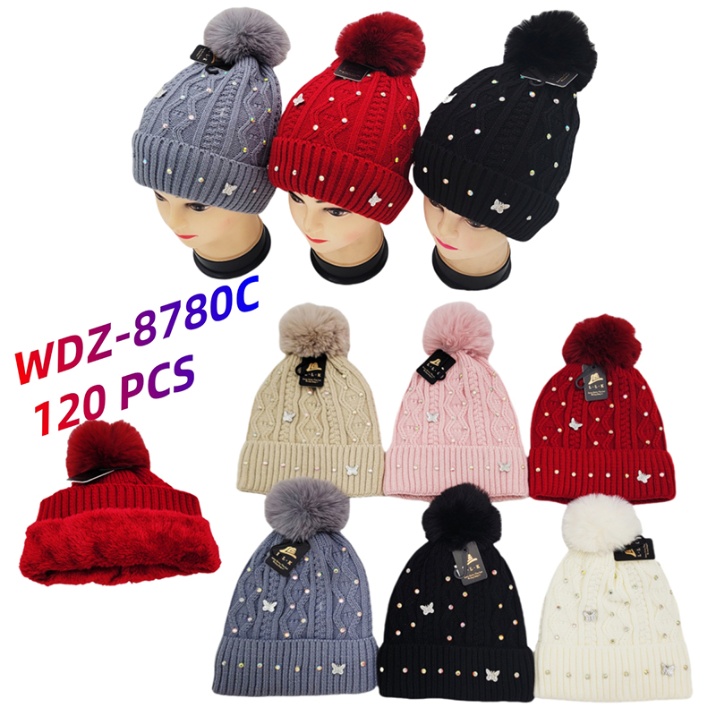 WDZ-8780C CS120